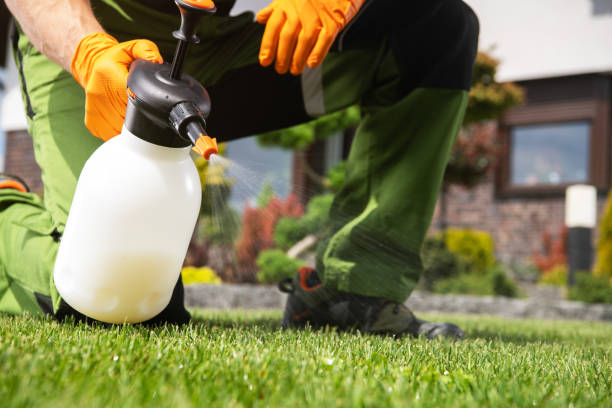 Best Pest Removal Services  in Mayfield Heights, OH