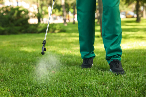 Wasp Removal Services in Mayfield Heights, OH