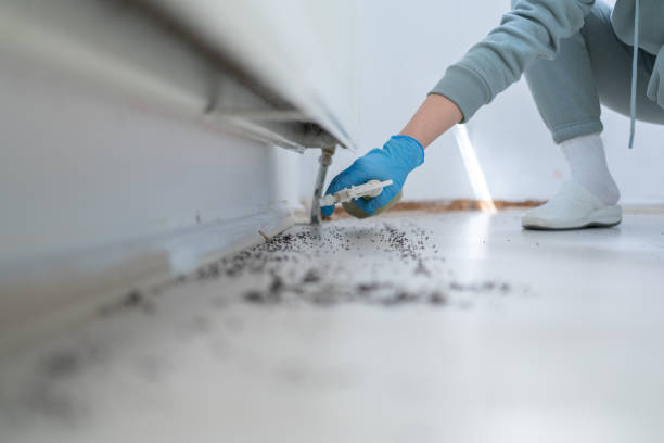 Best Wasp Removal Services  in Mayfield Heights, OH